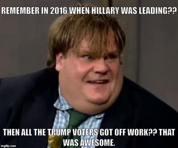 they only dreamed hillary would win in 2016, wait until 2020 | image tagged in trump,hillary,voter swarm | made w/ Imgflip meme maker