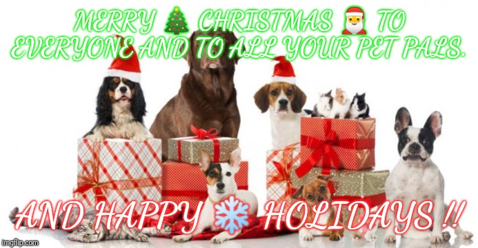 MERRY 🎄 CHRISTMAS 🎅 TO EVERYONE AND TO ALL YOUR PET PALS. AND HAPPY ❄ HOLIDAYS !! | image tagged in merry christmas,happy holidays,pets | made w/ Imgflip meme maker