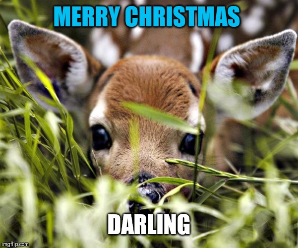 MERRY CHRISTMAS DARLING | made w/ Imgflip meme maker