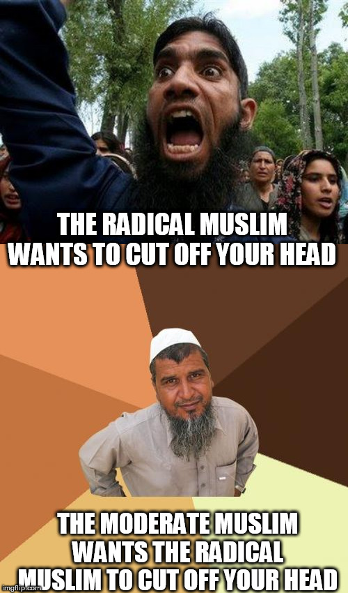 THE RADICAL MUSLIM WANTS TO CUT OFF YOUR HEAD; THE MODERATE MUSLIM WANTS THE RADICAL MUSLIM TO CUT OFF YOUR HEAD | image tagged in memes,ordinary muslim man,angry muslim | made w/ Imgflip meme maker
