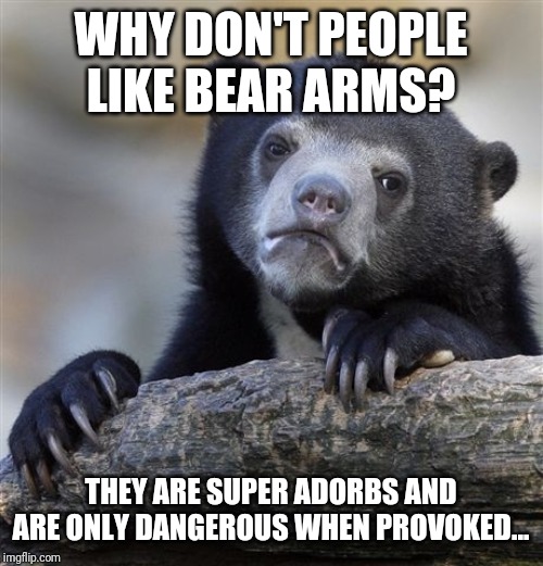Confession Bear Meme | WHY DON'T PEOPLE LIKE BEAR ARMS? THEY ARE SUPER ADORBS AND ARE ONLY DANGEROUS WHEN PROVOKED... | image tagged in memes,confession bear | made w/ Imgflip meme maker