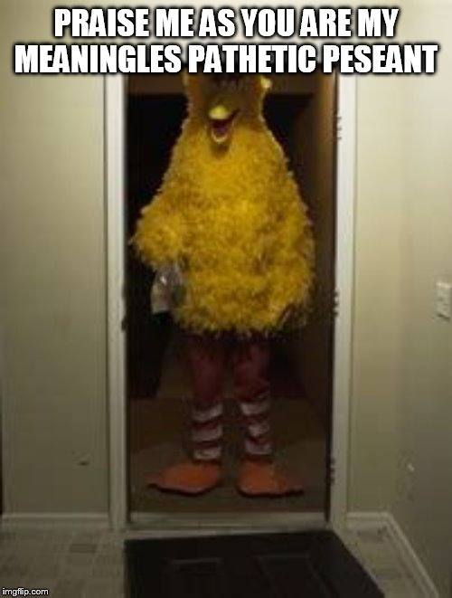 Big Bird Door | PRAISE ME AS YOU ARE MY MEANINGLES PATHETIC PESEANT | image tagged in big bird door | made w/ Imgflip meme maker