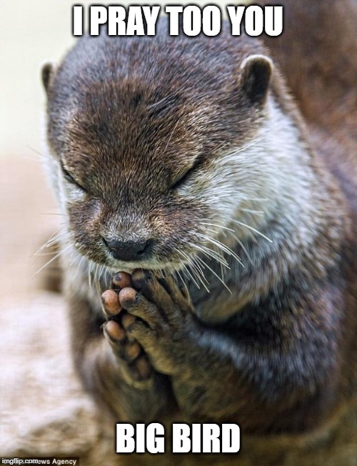 Thank you Lord Otter | I PRAY TOO YOU BIG BIRD | image tagged in thank you lord otter | made w/ Imgflip meme maker