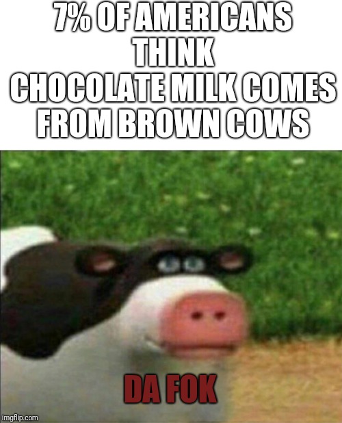 Chocolate milk comes from brown cows | 7% OF AMERICANS THINK CHOCOLATE MILK COMES FROM BROWN COWS; DA FOK | image tagged in cow,americans,human stupidity,funny memes,memes,imgflip | made w/ Imgflip meme maker
