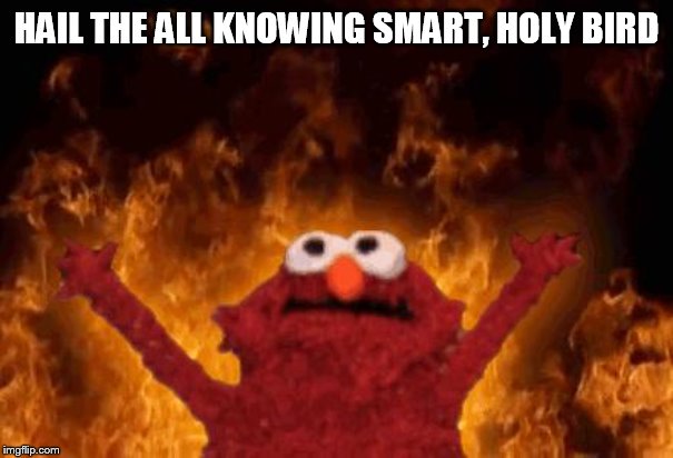 elmo maligno | HAIL THE ALL KNOWING SMART, HOLY BIRD | image tagged in elmo maligno | made w/ Imgflip meme maker