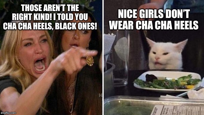 Angry lady cat | NICE GIRLS DON’T WEAR CHA CHA HEELS; THOSE AREN’T THE RIGHT KIND! I TOLD YOU CHA CHA HEELS, BLACK ONES! | image tagged in angry lady cat | made w/ Imgflip meme maker