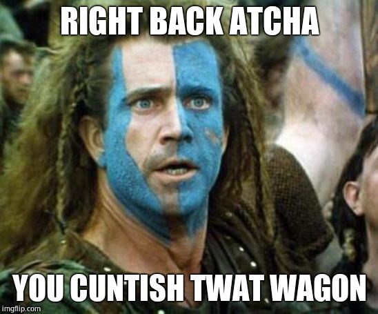 Is Mel Gibson an alcoholic racist? | RIGHT BACK ATCHA YOU C**TISH TWAT WAGON | image tagged in is mel gibson an alcoholic racist | made w/ Imgflip meme maker