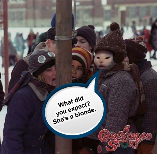 Smudge the Cat: A Christmas Story | What did you expect? She's a blonde. | image tagged in a christmas story,christmas story,smudge the cat,dumb blonde,woman yelling at cat,funny | made w/ Imgflip meme maker