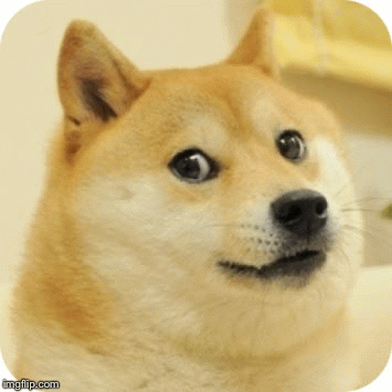 Don’t flip off a doge, SERIOUSLY | image tagged in gifs,gun,doge,doge with gun | made w/ Imgflip images-to-gif maker