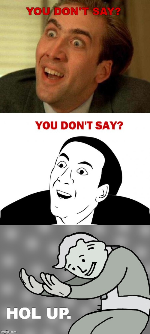 YOU DON'T SAY? HOL UP. | image tagged in memes,you don't say,nicolas cage,hol up | made w/ Imgflip meme maker