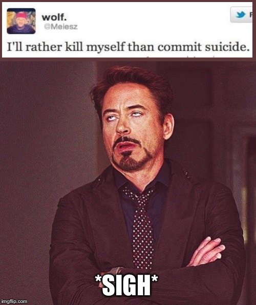 Robert Downey Jr Annoyed | *SIGH* | image tagged in robert downey jr annoyed | made w/ Imgflip meme maker