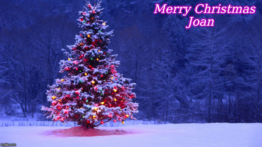 Merry Christmas | Merry Christmas 
Joan | image tagged in merry christmas,memes | made w/ Imgflip meme maker