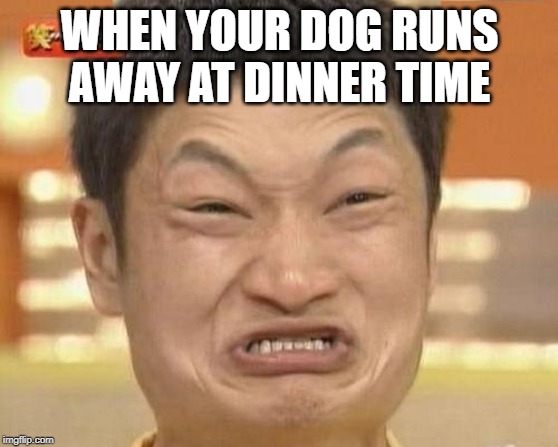 Impossibru Guy Original Meme | WHEN YOUR DOG RUNS AWAY AT DINNER TIME | image tagged in memes,impossibru guy original | made w/ Imgflip meme maker