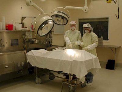 Autopsy Blank Meme Template