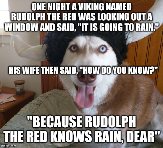 Christmas Meme | ONE NIGHT A VIKING NAMED RUDOLPH THE RED WAS LOOKING OUT A WINDOW AND SAID, "IT IS GOING TO RAIN."; HIS WIFE THEN SAID, "HOW DO YOU KNOW?"; "BECAUSE RUDOLPH THE RED KNOWS RAIN, DEAR" | image tagged in christmas | made w/ Imgflip meme maker
