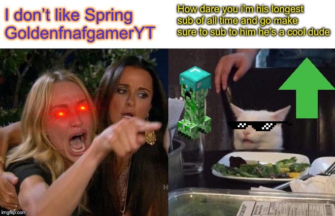 Woman Yelling At Cat | How dare you i’m his longest sub of all time and go make sure to sub to him he’s a cool dude; I don’t like Spring GoldenfnafgamerYT | image tagged in memes,woman yelling at cat | made w/ Imgflip meme maker