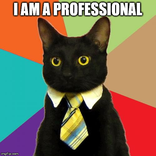 Business Cat Meme | I AM A PROFESSIONAL | image tagged in memes,business cat | made w/ Imgflip meme maker