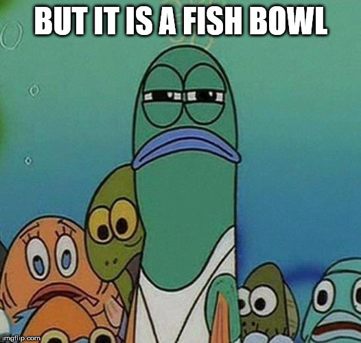 SpongeBob | BUT IT IS A FISH BOWL | image tagged in spongebob | made w/ Imgflip meme maker