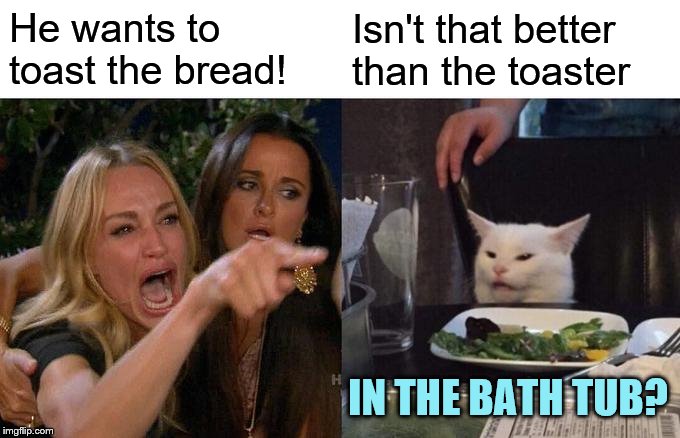 Woman Yelling At Cat Meme | He wants to toast the bread! Isn't that better than the toaster IN THE BATH TUB? | image tagged in memes,woman yelling at cat | made w/ Imgflip meme maker