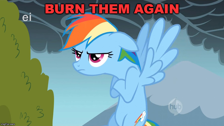 Grumpy Pony | BURN THEM AGAIN | image tagged in grumpy pony | made w/ Imgflip meme maker