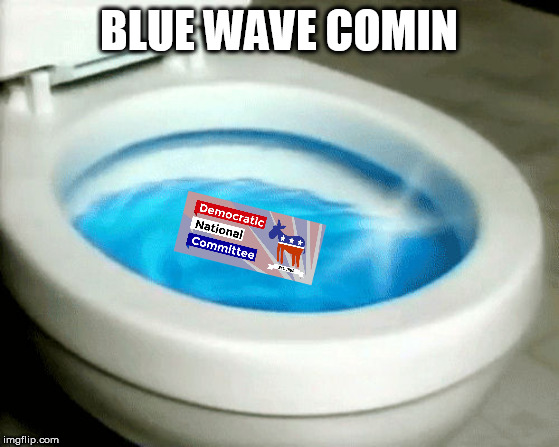 Blue Wave | BLUE WAVE COMIN | image tagged in blue wave | made w/ Imgflip meme maker