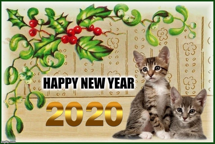 Happy New Year | HAPPY NEW YEAR | image tagged in happy new year,2020,kittens,happy | made w/ Imgflip meme maker