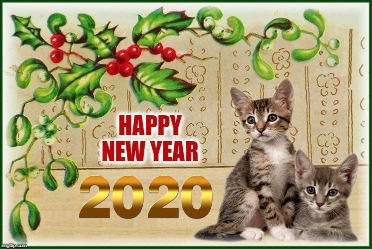 Happy New Year | HAPPY NEW YEAR | image tagged in happy new year,happy,kittens | made w/ Imgflip meme maker
