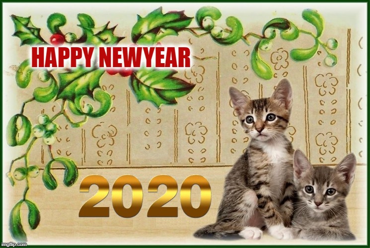 Happy New Year | HAPPY NEWYEAR | image tagged in happy new year,kittens,happy,happy holidays | made w/ Imgflip meme maker