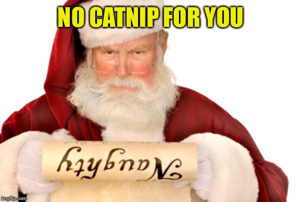Santa Naughty List | NO CATNIP FOR YOU | image tagged in santa naughty list | made w/ Imgflip meme maker