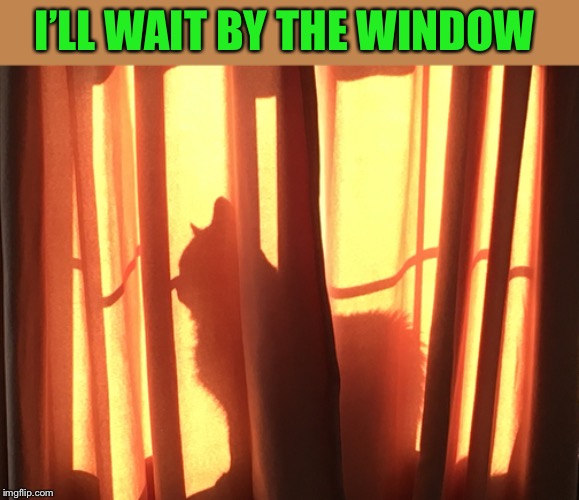 I’LL WAIT BY THE WINDOW | made w/ Imgflip meme maker