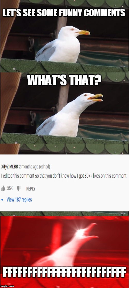 Inhaling Seagull | LET'S SEE SOME FUNNY COMMENTS; WHAT'S THAT? FFFFFFFFFFFFFFFFFFFFFFFFF | image tagged in memes,inhaling seagull | made w/ Imgflip meme maker