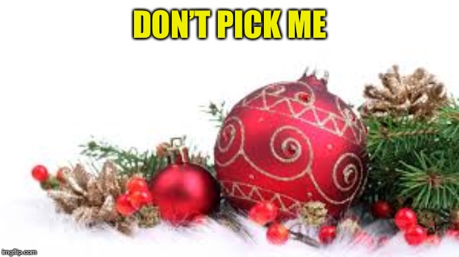 Christmas Ornament | DON’T PICK ME | image tagged in christmas ornament | made w/ Imgflip meme maker