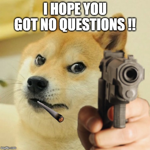 Doge holding a gun | I HOPE YOU GOT NO QUESTIONS !! | image tagged in doge holding a gun | made w/ Imgflip meme maker