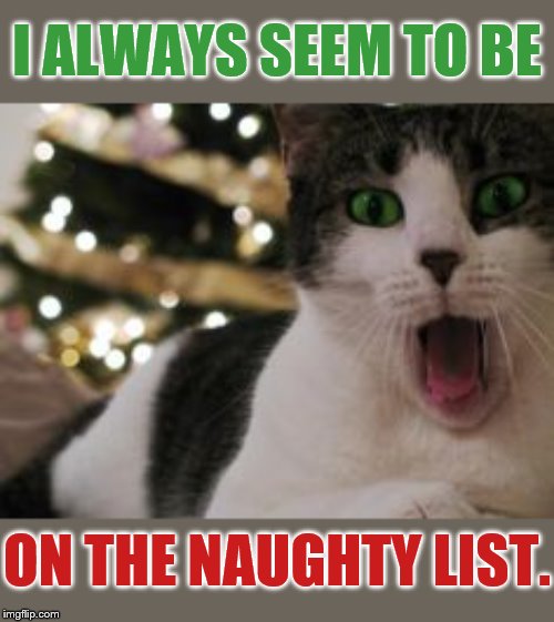 I ALWAYS SEEM TO BE ON THE NAUGHTY LIST. | made w/ Imgflip meme maker