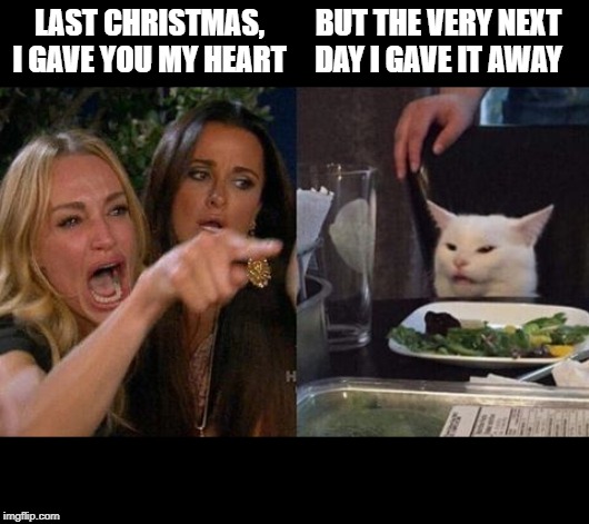 Gatto schifomadò | LAST CHRISTMAS, I GAVE YOU MY HEART; BUT THE VERY NEXT DAY I GAVE IT AWAY | image tagged in gatto schifomad | made w/ Imgflip meme maker