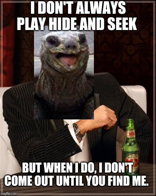 The Most Interesting Man In The World Meme | I DON'T ALWAYS PLAY HIDE AND SEEK BUT WHEN I DO, I DON'T COME OUT UNTIL YOU FIND ME. | image tagged in memes,the most interesting man in the world | made w/ Imgflip meme maker