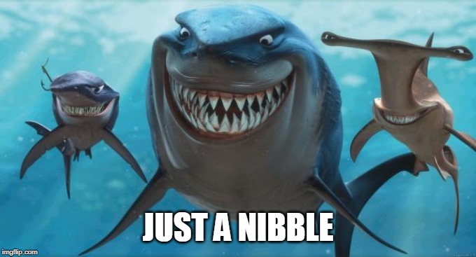 Finding Nemo Sharks | JUST A NIBBLE | image tagged in finding nemo sharks | made w/ Imgflip meme maker