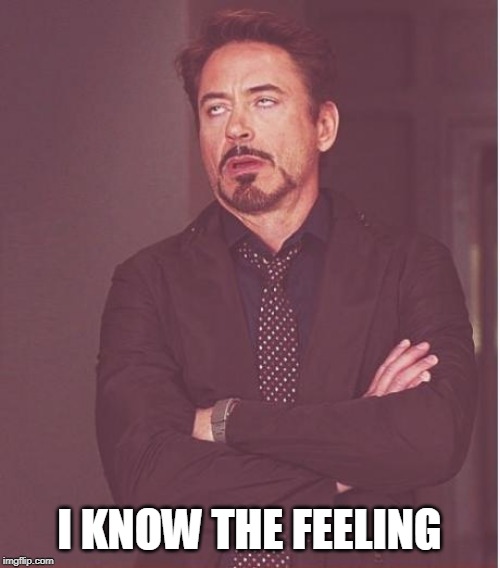 Face You Make Robert Downey Jr Meme | I KNOW THE FEELING | image tagged in memes,face you make robert downey jr | made w/ Imgflip meme maker