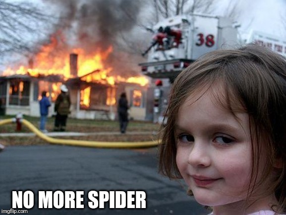 Disaster Girl | NO MORE SPIDER | image tagged in memes,disaster girl | made w/ Imgflip meme maker