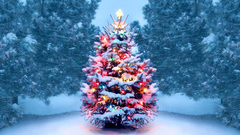 High Quality Christmas tree Blank Meme Template
