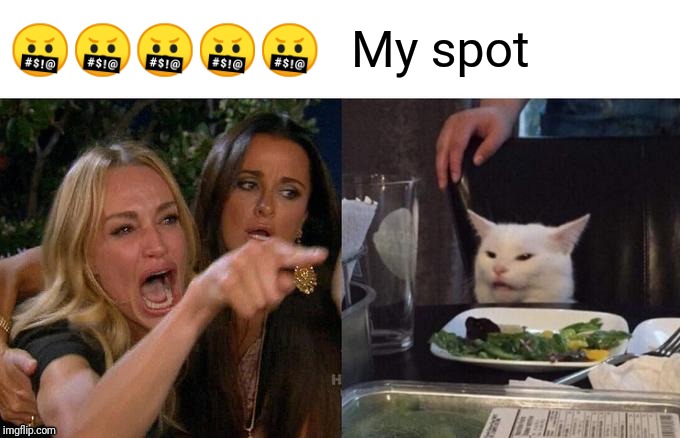 Woman Yelling At Cat | 🤬🤬🤬🤬🤬; My spot | image tagged in memes,woman yelling at cat | made w/ Imgflip meme maker