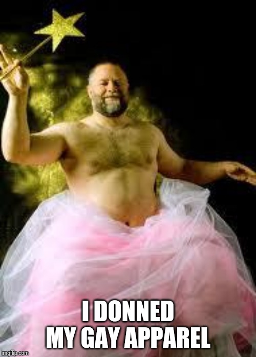 fairy man | I DONNED MY GAY APPAREL | image tagged in fairy man | made w/ Imgflip meme maker