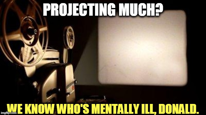 Movie Projector | PROJECTING MUCH? WE KNOW WHO'S MENTALLY ILL, DONALD. | image tagged in movie projector | made w/ Imgflip meme maker