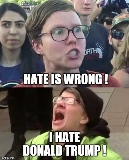 HATE IS WRONG ! I HATE DONALD TRUMP ! | image tagged in triggered liberal,screaming liberal | made w/ Imgflip meme maker