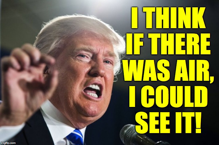 donald trump | I THINK
IF THERE
WAS AIR,
I COULD
SEE IT! | image tagged in donald trump | made w/ Imgflip meme maker