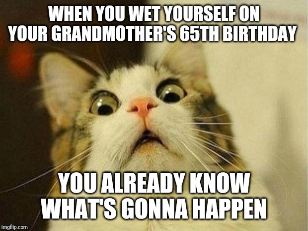 Scared Cat Meme | WHEN YOU WET YOURSELF ON YOUR GRANDMOTHER'S 65TH BIRTHDAY; YOU ALREADY KNOW WHAT'S GONNA HAPPEN | image tagged in memes,scared cat | made w/ Imgflip meme maker