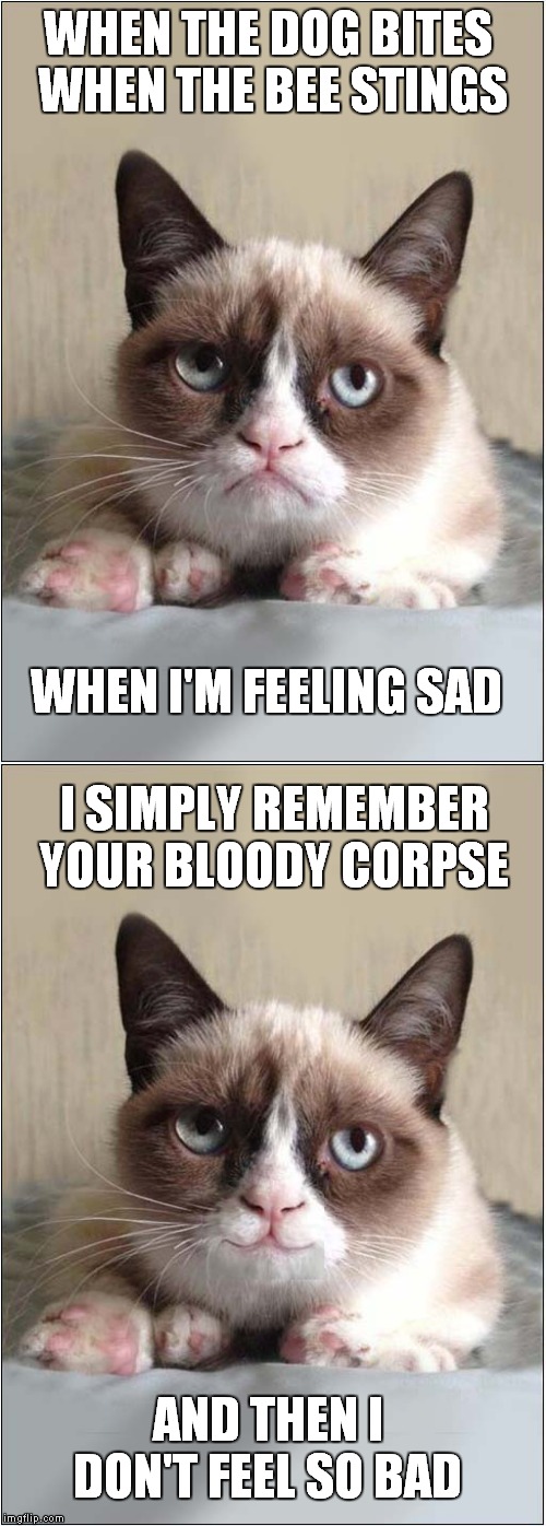 Grumpys Favourite Things | WHEN THE DOG BITES 
WHEN THE BEE STINGS; WHEN I'M FEELING SAD; I SIMPLY REMEMBER YOUR BLOODY CORPSE; AND THEN I DON'T FEEL SO BAD | image tagged in fun,grumpy cat,sound of music,repost | made w/ Imgflip meme maker