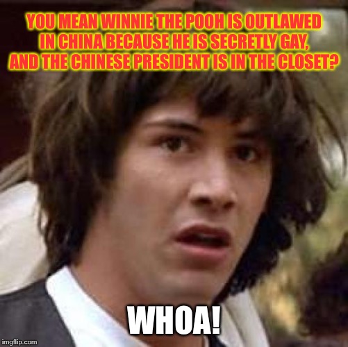 Conspiracy Keanu Meme | YOU MEAN WINNIE THE POOH IS OUTLAWED IN CHINA BECAUSE HE IS SECRETLY GAY, AND THE CHINESE PRESIDENT IS IN THE CLOSET? WHOA! | image tagged in memes,conspiracy keanu | made w/ Imgflip meme maker
