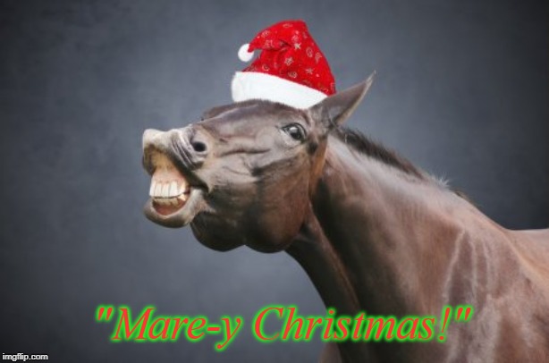 horse in a santa hat | "Mare-y Christmas!" | image tagged in horse in a santa hat | made w/ Imgflip meme maker