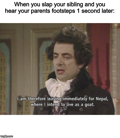 Sibling Meme #3 | When you slap your sibling and you hear your parents footsteps 1 second later: | image tagged in i am therefore leaving immediately for nepal,dank memes | made w/ Imgflip meme maker